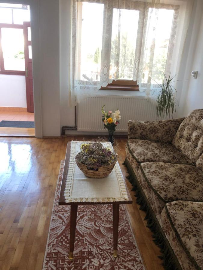 Doi Bujori Apartment Алба Юлия Екстериор снимка