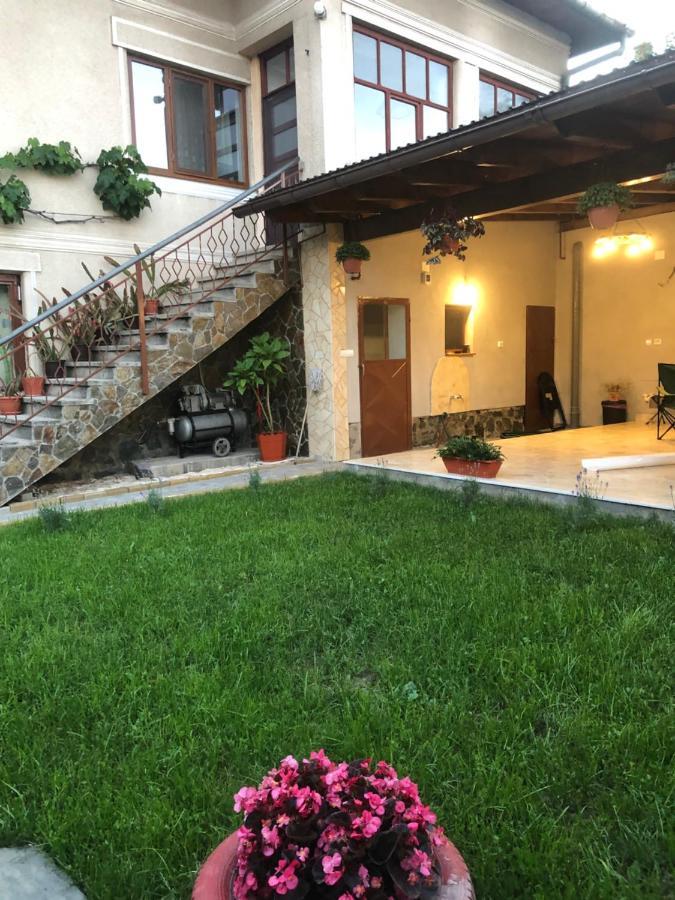 Doi Bujori Apartment Алба Юлия Екстериор снимка