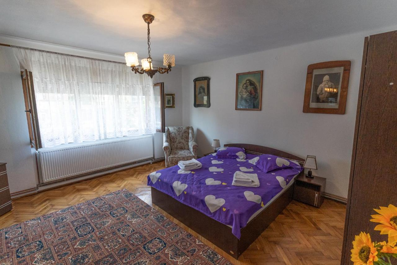 Doi Bujori Apartment Алба Юлия Екстериор снимка
