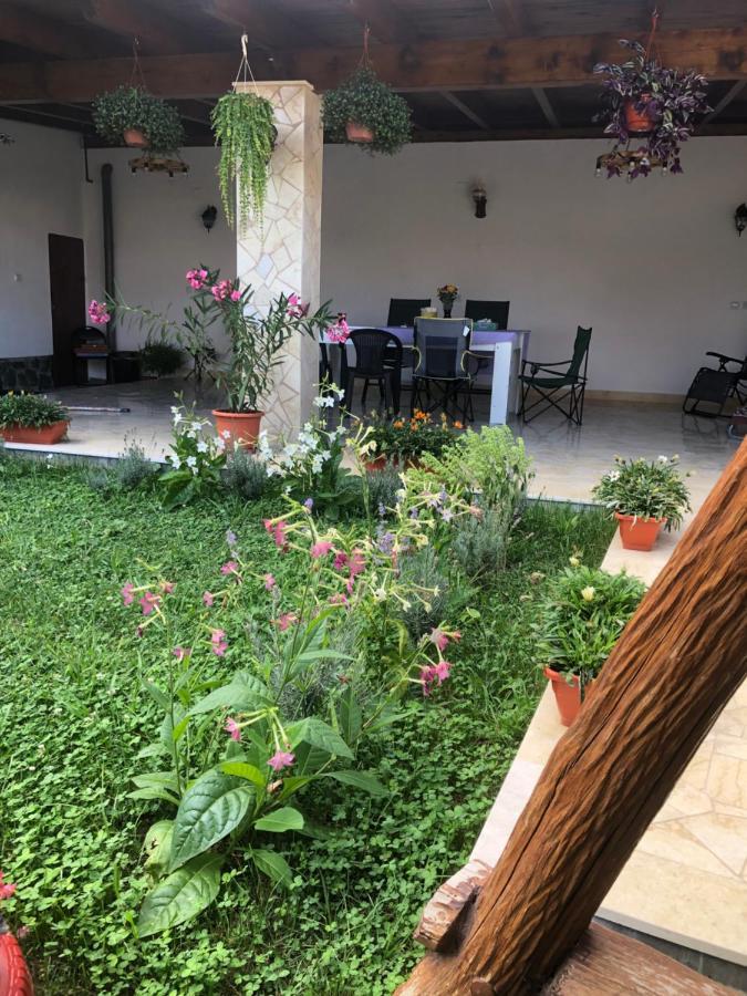 Doi Bujori Apartment Алба Юлия Екстериор снимка