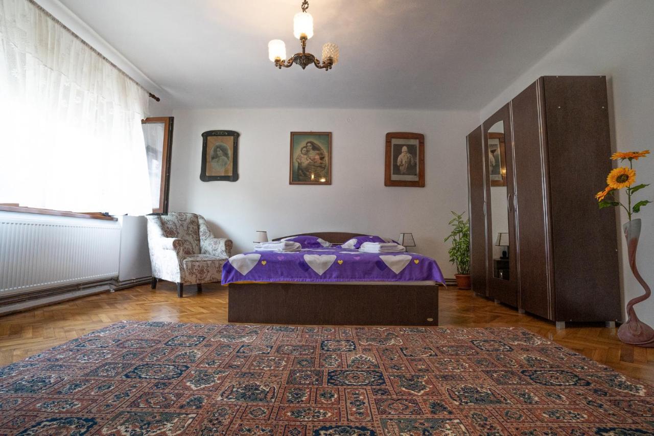 Doi Bujori Apartment Алба Юлия Екстериор снимка