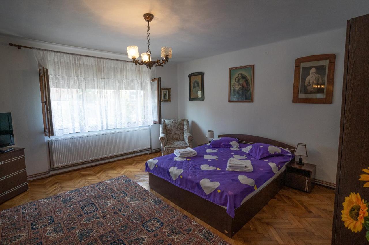 Doi Bujori Apartment Алба Юлия Екстериор снимка